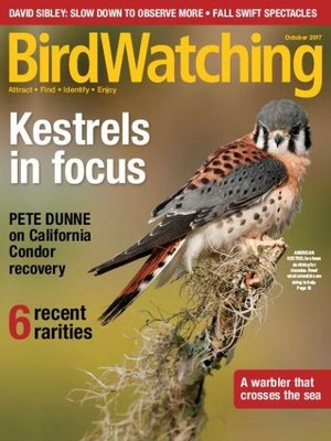 cover image of BirdWatching